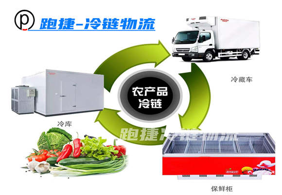 冷鏈物流,冷藏物流公司,跑捷冷鮮運(yùn)輸公司,上海冷藏運(yùn)輸專線